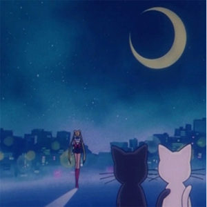 老头操逼女人突然死亡吊拔不出来
